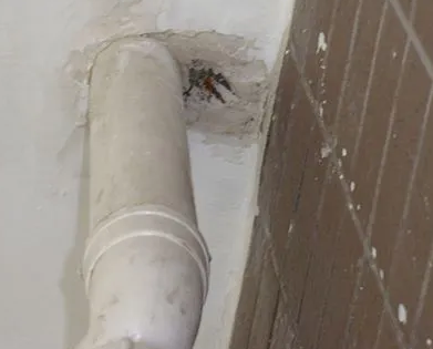 六盘水漏水检测哪家好